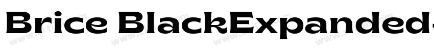 Brice BlackExpanded字体转换